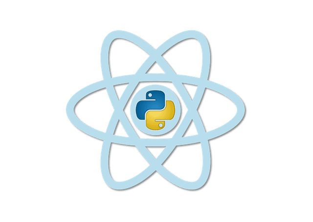 React + Python
